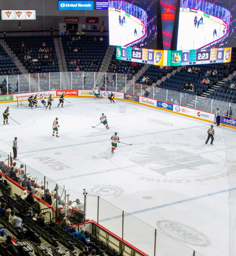 Halifax Mooseheads Hockey Game