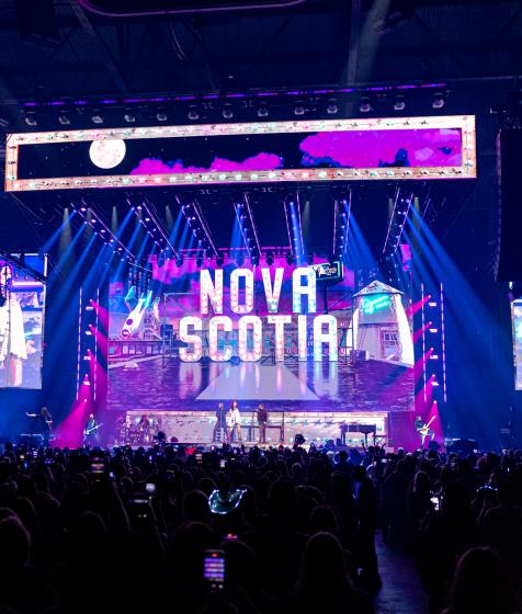 Fan's cheer at the Shania Twain concert (Photo: James Bennett)