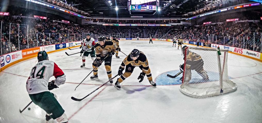 Halifax Moosehead's