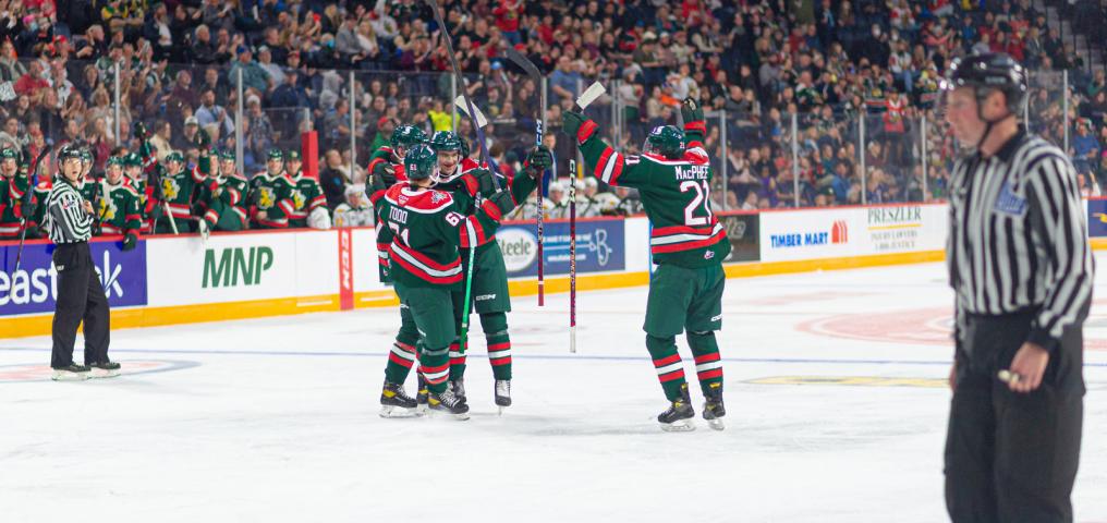 The Halifax Mooseheads celebrate a goal