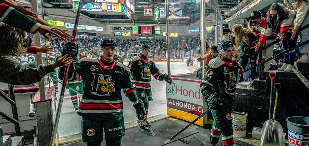 Halifax Mooseheads High Five fans