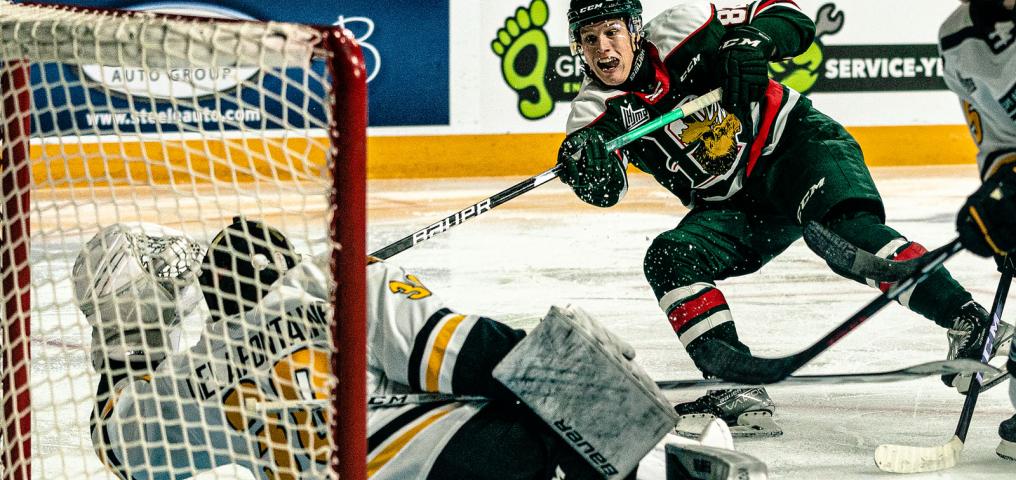 Halifax Mooseheads player takes a wrist shot