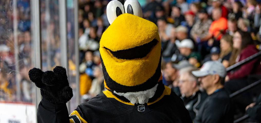 the penguins mascot