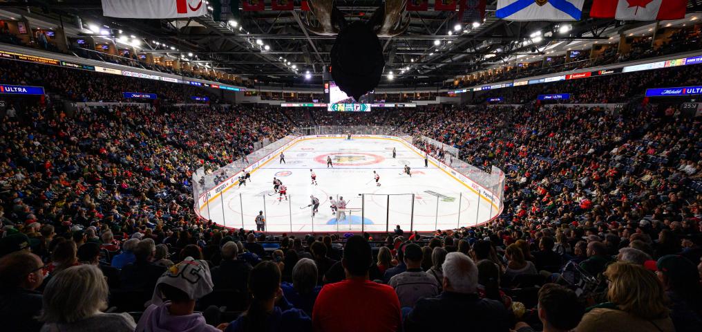 Halifax Mooseheads Sold Out Crowd - Credit Trevor MacMillan