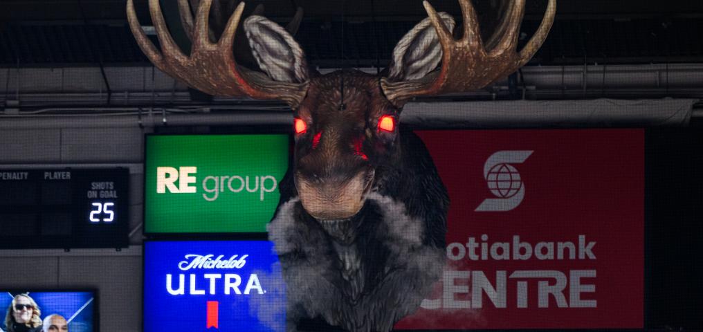 Halifax Mooseheads - Credit Trevor MacMillan