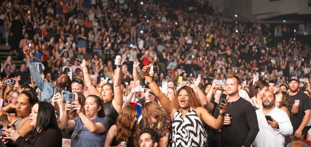 Fans cheer at the Sean Paul concert - Credit Scott Blackburn