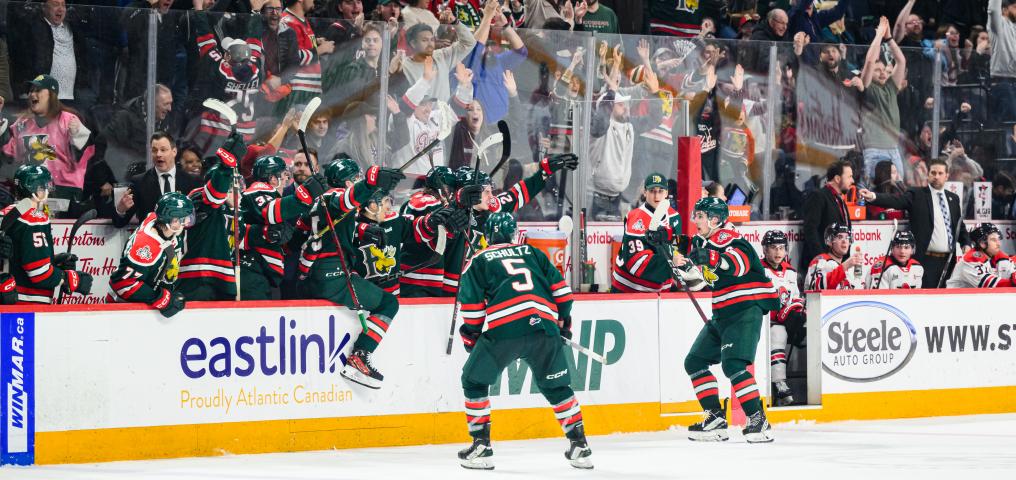 Halifax Mooseheads Game - Credit Trevor MacMillan