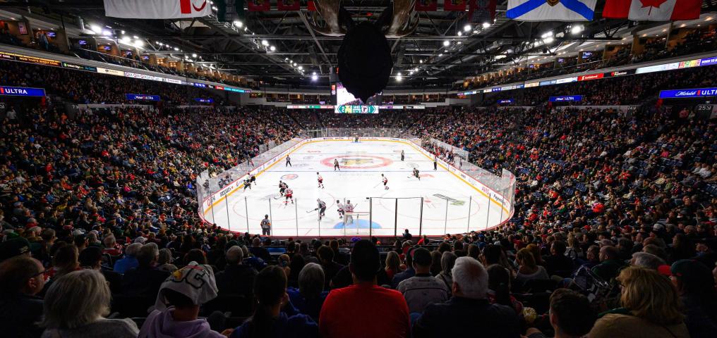Halifax Mooseheads Sold Out Crowd - Credit Trevor MacMillan
