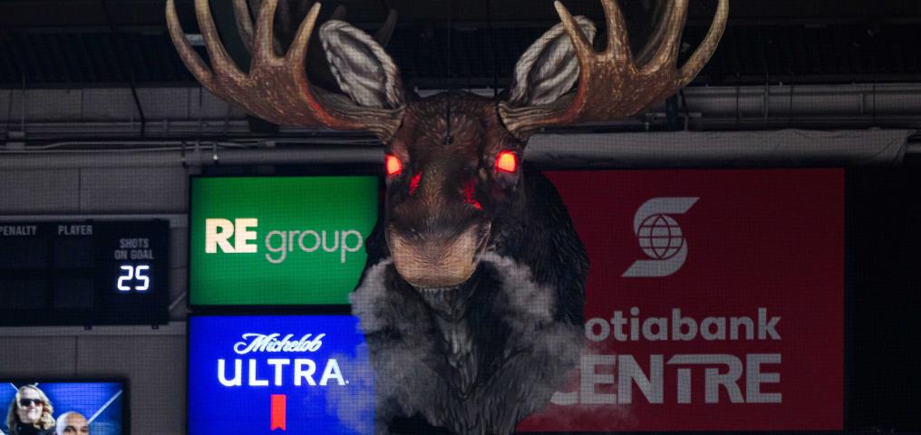 Halifax Mooseheads - Credit Trevor MacMillan
