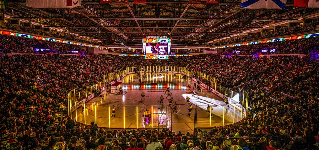 A sold out crowd fills the Scotiabank Centre during a PWHL game