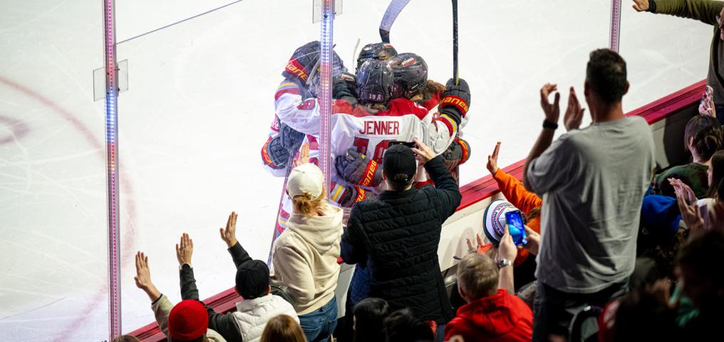 Fans celebrate as a PWHL team scores a goal